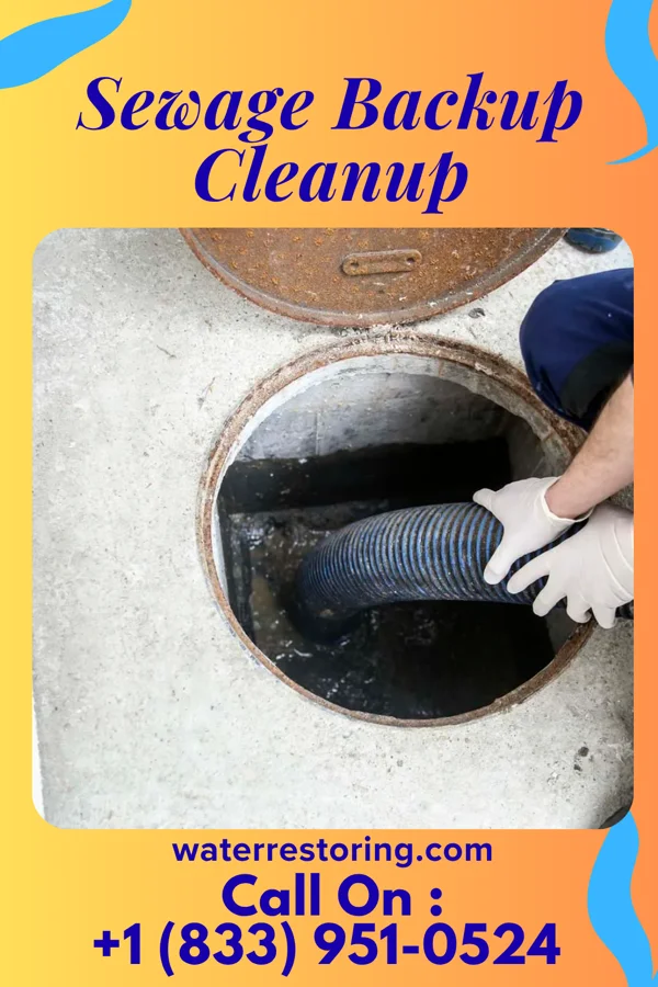 Sewage Backup Cleanup in Port Royal, PA